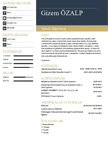 Müzik Öğretmeni Cv Örnekleri cv indir